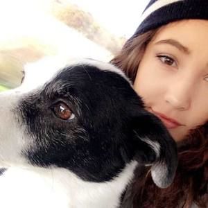 Meet your Posher, Ivy